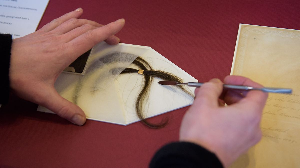 Alles andere als öde: Wunderkammer Archiv