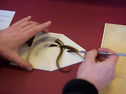 Letzte Worte und kuriose Funde: Alles andere als öde: Wunderkammer Archiv