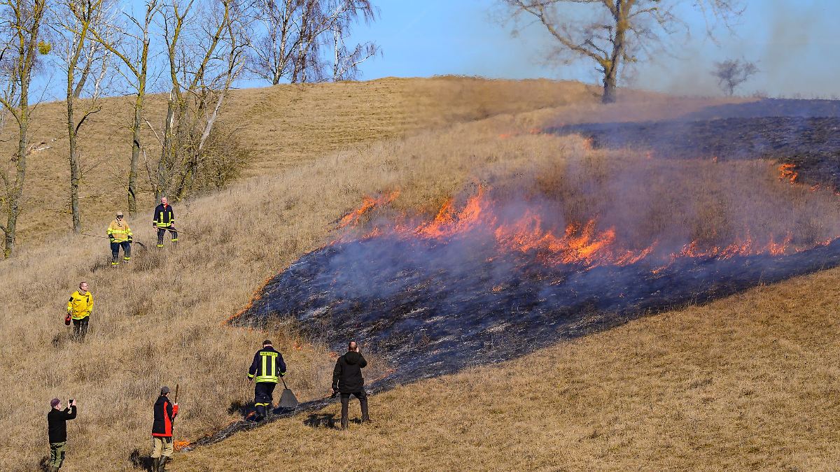 Feuer und Flamme für Naturschutz: Trockenrasen abgebrannt