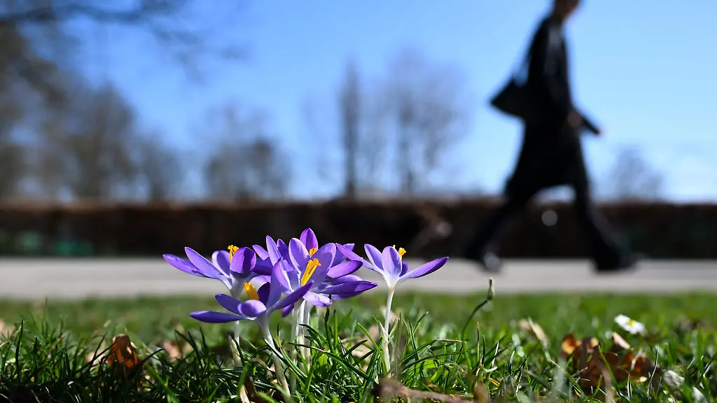 Sonnig-und-niederschlagsfrei-lautet-die-Vorhersage-fuer-die-naechsten-Tage