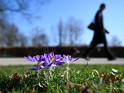 Hessen: Es bleibt sehr mild - am Wochenende 20 Grad möglich