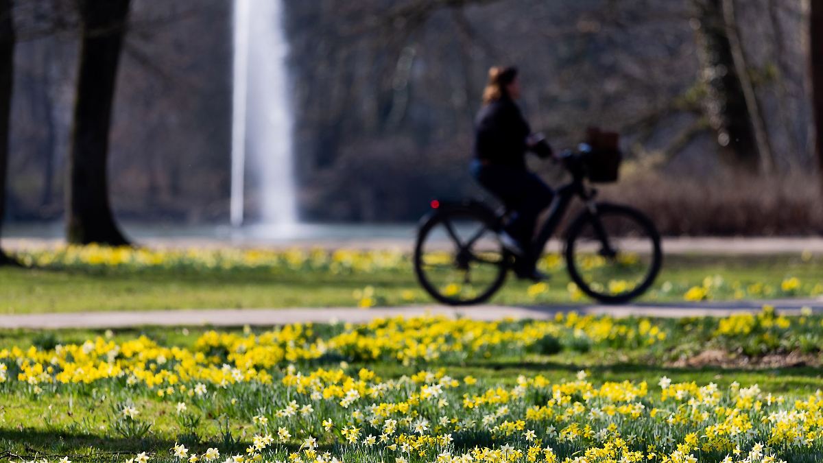 Das Wetter in NRW: Viel Sonne erwartet