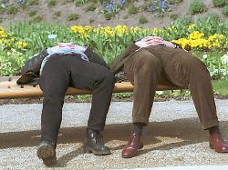 Wenn das große Gähnen beginnt: Frühjahrsmüdigkeit kann gelindert werden