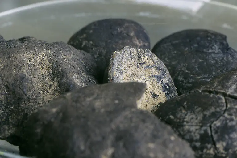 Manganknollen-manganese-nodules-BLW053399-Manganese-nodules-Manganese