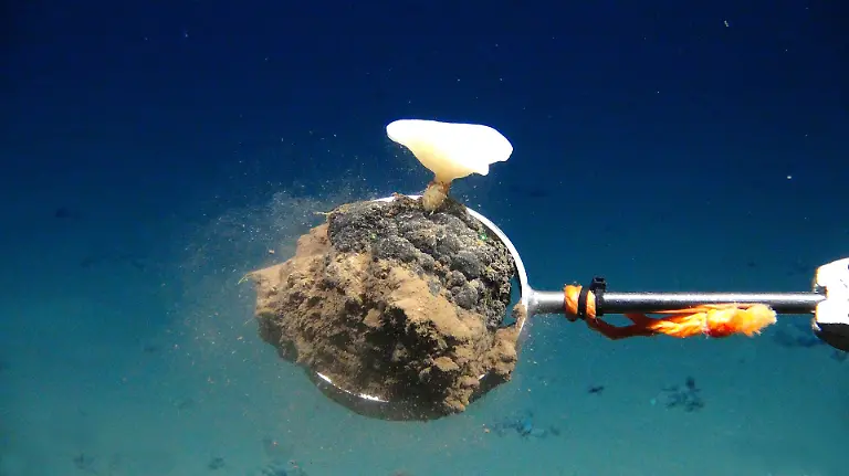 HANDOUT-Aufnahme-vom-Stoerungsprojekt-Discol-etwa-650-Kilometer-suedoestlich-der-Galapagos-Inseln-26-Jahre-spaeter-kehrten-Forscher-zurueck-Credit-SO242-GEOMAR-ACHTUNG-Frei-nur-zur-redaktionellen-Verwendung-im-Zusammenhang-mit-der-Berichterstattung-ueber-die-Studie-bei-Nennung-des-Credits