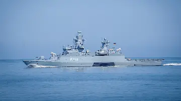411924529 (1)