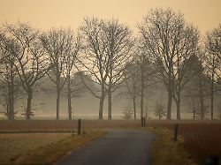 Baden-Württemberg: Afrika-Gruß: Warum der Himmel grau ist und die Sonne milchig