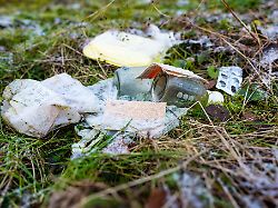 Hamburg & Schleswig-Holstein: Aktionstag: Bürger sammeln Müll für ein sauberes Land