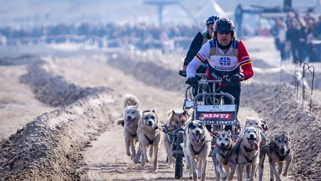 Vor-vielen-Zuschauer-sind-zahlreiche-Prominente-zu-einem-Schlittenhunderennen-auf-Usedom-angetreten
