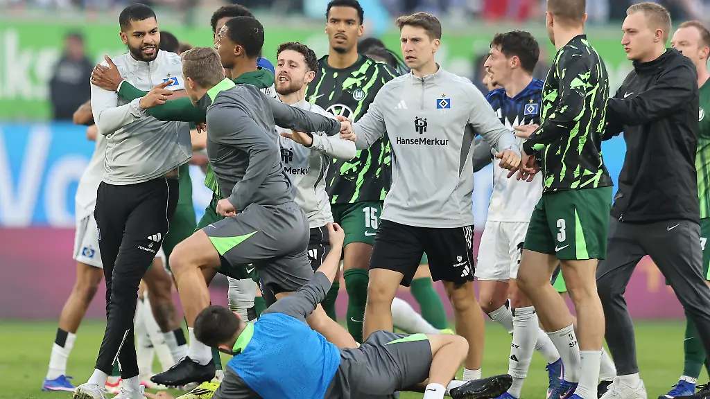 Fussball-Maenner-Bundesliga-VfL-Wolfsburg-Hamburger-SV-25-Spieltag-Volkswagen-Arena-Auseinandersetzung-zwischen-beiden-Mannschaften-nach-dem-Spielende