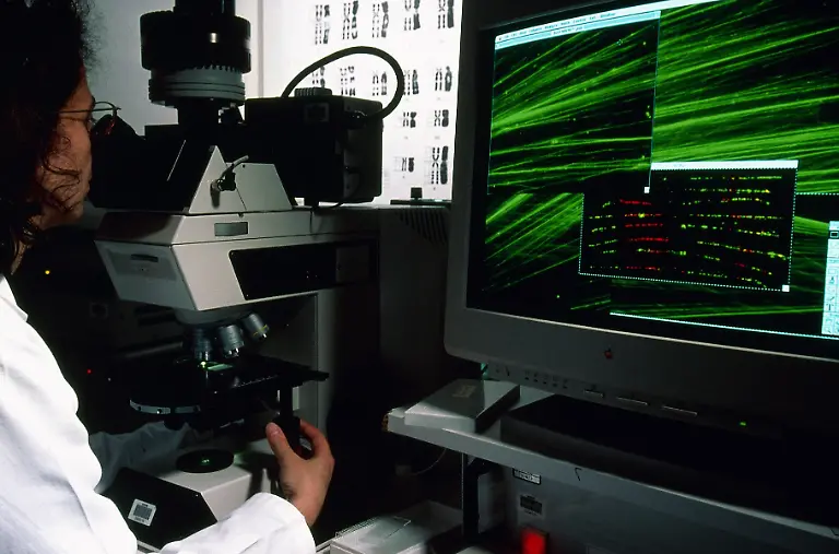 Gene-therapy-requires-a-therapeutic-gene-a-vector-to-carry-it-and-a-target-cell-Vectorology-is-the-science-of-developing-vectors-for-carrying-the-therapeutic-gene-to-the-target-cell-The-efficiency-of-gene-transferral-is-visualized-here-using-fluorescence-microscopy-the-FISH-or-Florescence-In-Situ-Hybridation-technique