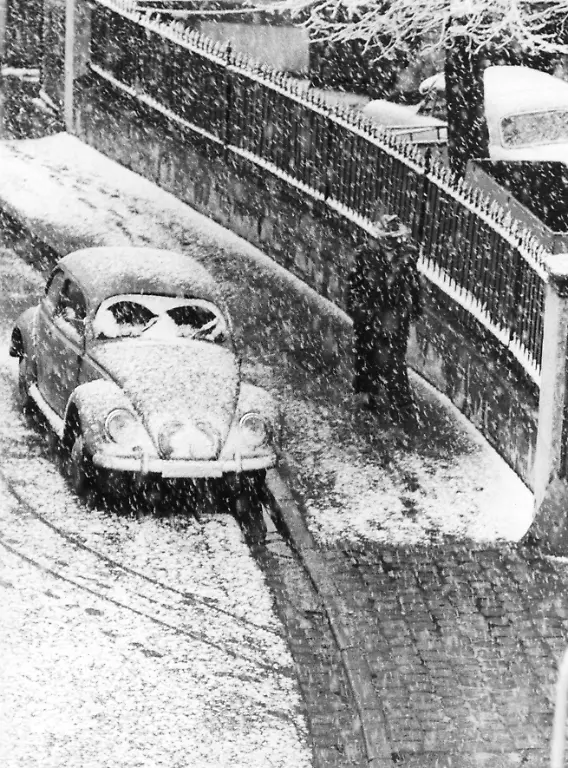 Kaefer-und-Mann-im-Schneetreiben-50er-Jahre