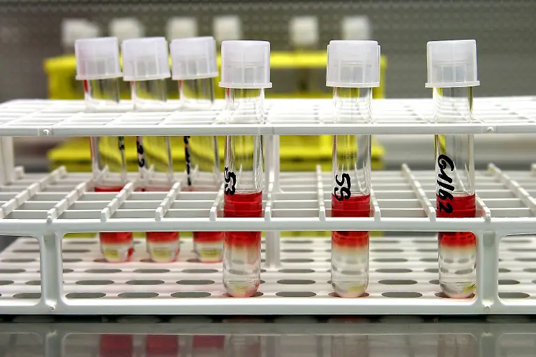 Bildnummer-50393002-Datum-05-12