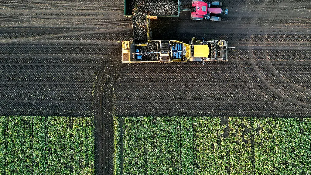 In-vielen-Regionen-Sachsen-Anhalts-ist-der-Bodenwasservorrat-weiterhin-zu-niedrig