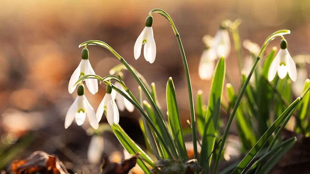 Es-bleibt-relativ-warm-aber-im-Tagesverlauf-koennte-es-auch-Regen-geben