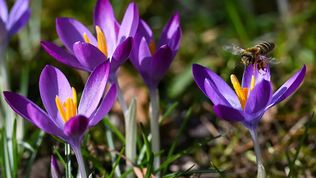 Es-bleibt-vorerst-mild-und-sonnig-in-Hessen-Nur-vereinzelt-kann-es-am-Montag-Schauer-geben