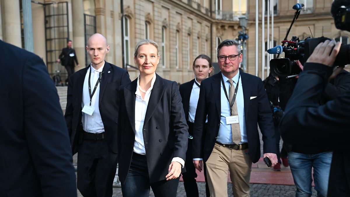 Wer ist der geheimnisvolle "Daniel" aus der Wahlsendung?