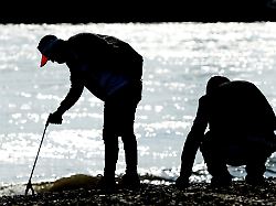 Sachsen: Müllsammeln als Event - Kommunen laden zum Frühjahrsputz