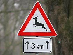 Niedersachsen & Bremen: Autofahrer kracht ungebremst gegen Baum – schwer verletzt