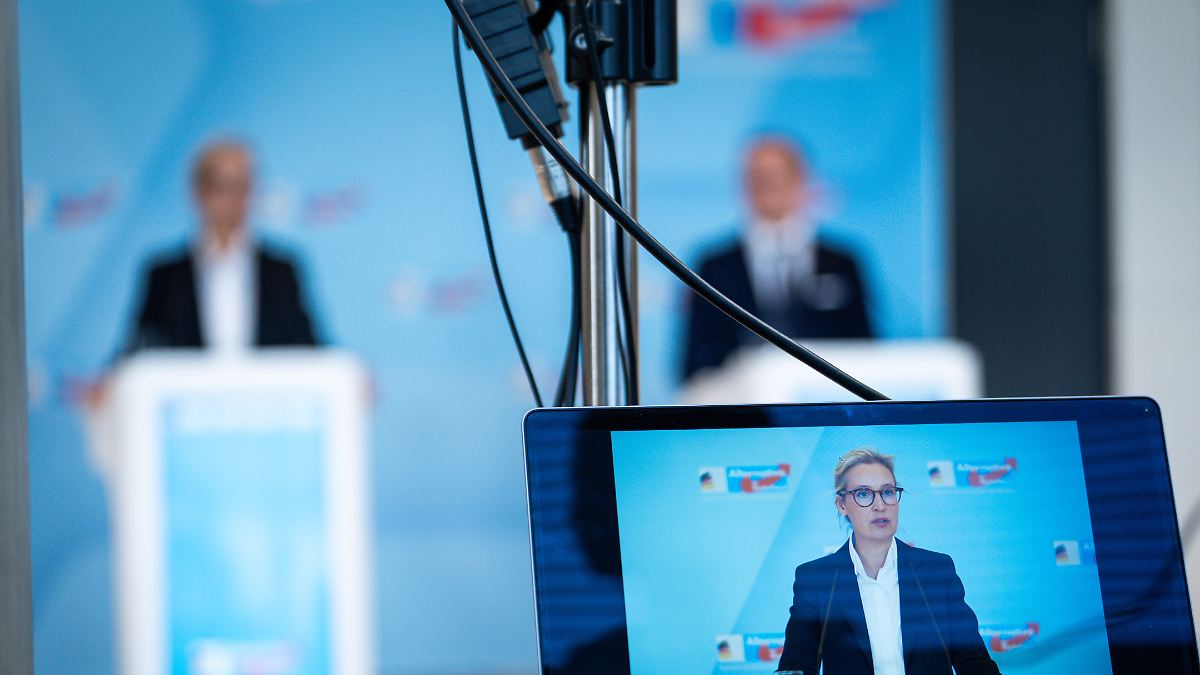 Können rechtsradikale Parteien durch Einbindung entzaubert werden?