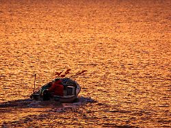 Mecklenburg-Vorpommern: Wal verfängt sich vor Ostseeküste in Fischernetz