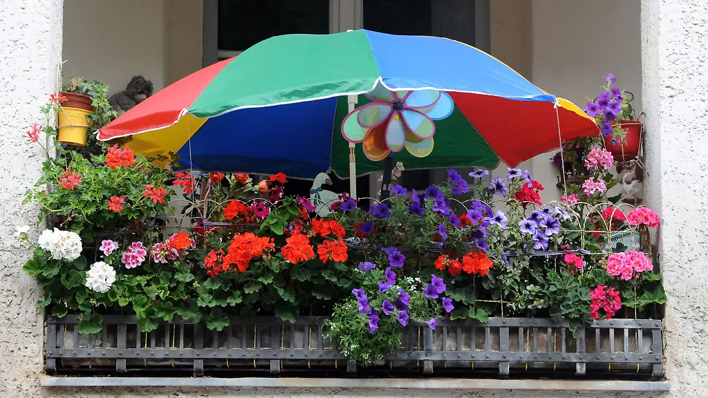 So-schoen-bunt-hier-In-der-Auswahl-der-Pflanzen-sind-Mieter-nicht-limitiert-solange-sie-Ruecksicht-auf-die-Nachbarn-nehmen