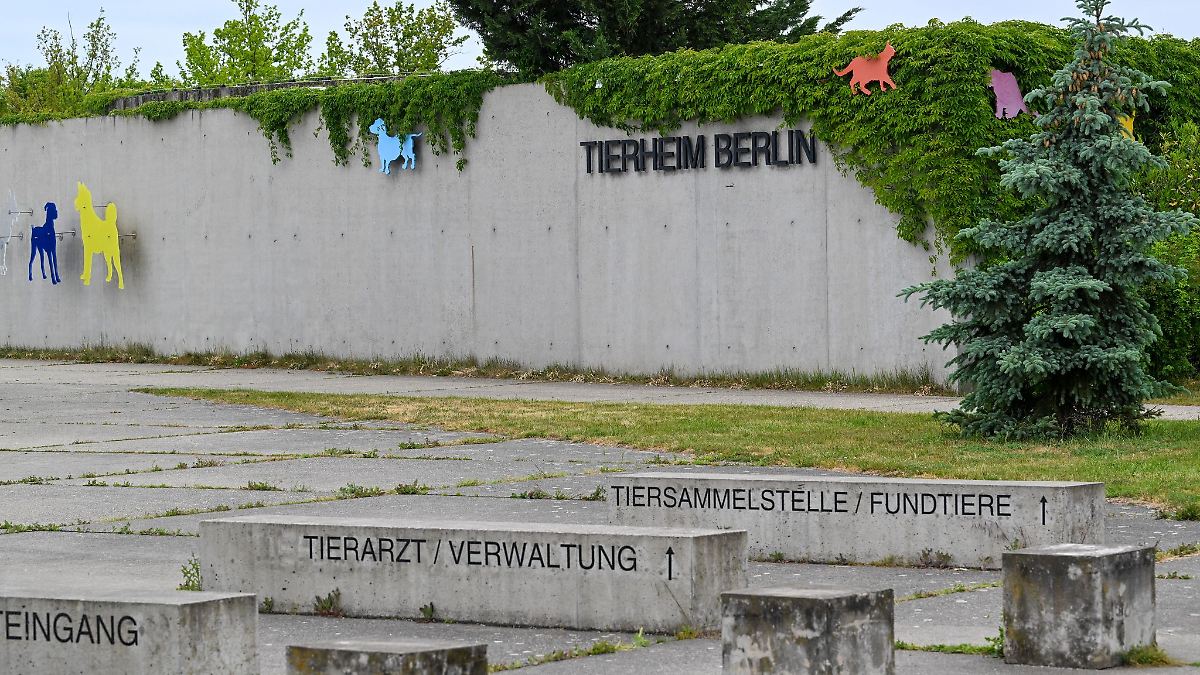 Sicherheit in Tierheim wegen totem Wildvogel verstärkt