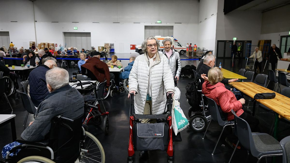"Sicher ist sicher" - Kuscheltiere für Sohn im Gepäck