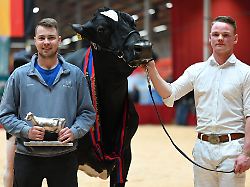 Alge wohnt im Champions-Stall: Neue "Miss Ostfriesland" bringt Preisrichter zum Schwärmen