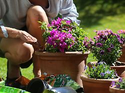 Start in die Pflanzsaison: Auch eine Frage der Erde: So geht jetzt erfolgreiches Gärtnern