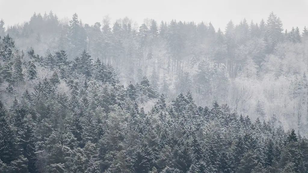 DWD-Vorhersage-Wo-es-in-Baden-Wuerttemberg-schneien-soll