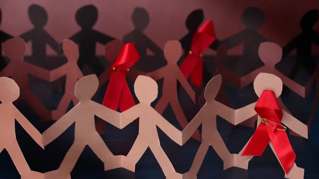 d497f6088638141d56b97dc2b8343f11