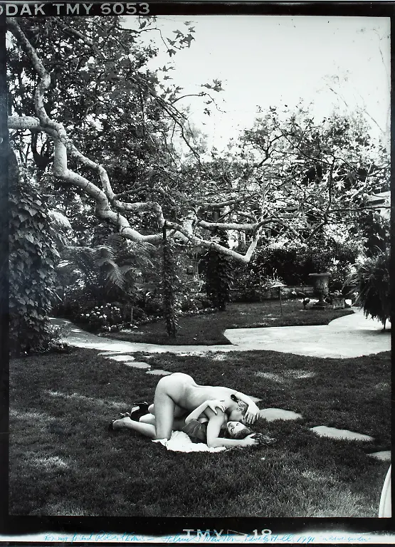 b210a819709cf96fed97f08dfae05271