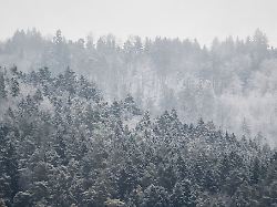 Baden-Württemberg: Hier ist am Wochenende mit Schnee und Glätte zu rechnen