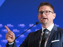 Berlin & Brandenburg: AfD Brandenburg für kleinere Parteitage mit Delegierten