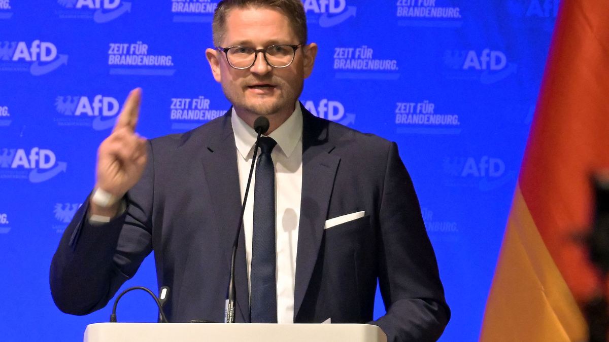 Brandenburgs AfD-Landeschef Springer bestätigt