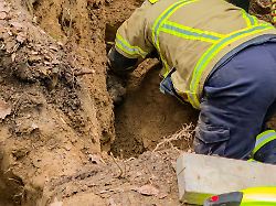 Nordrhein-Westfalen: Feuerwehr befreit Hund aus einem Fuchsbau