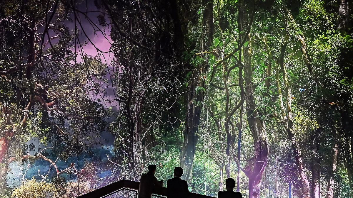 Regenwald-Panorama knackt Marke von 200.000 Besuchern