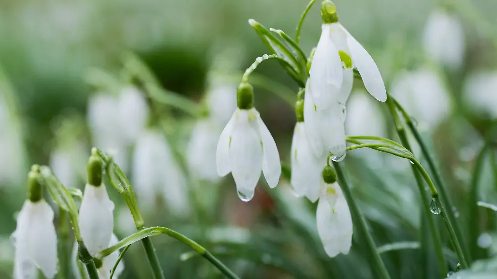 Anfang-der-Woche-kann-es-nass-werden-in-NRW-Ab-Mitte-der-Woche-zeigt-sich-die-Sonne-wieder