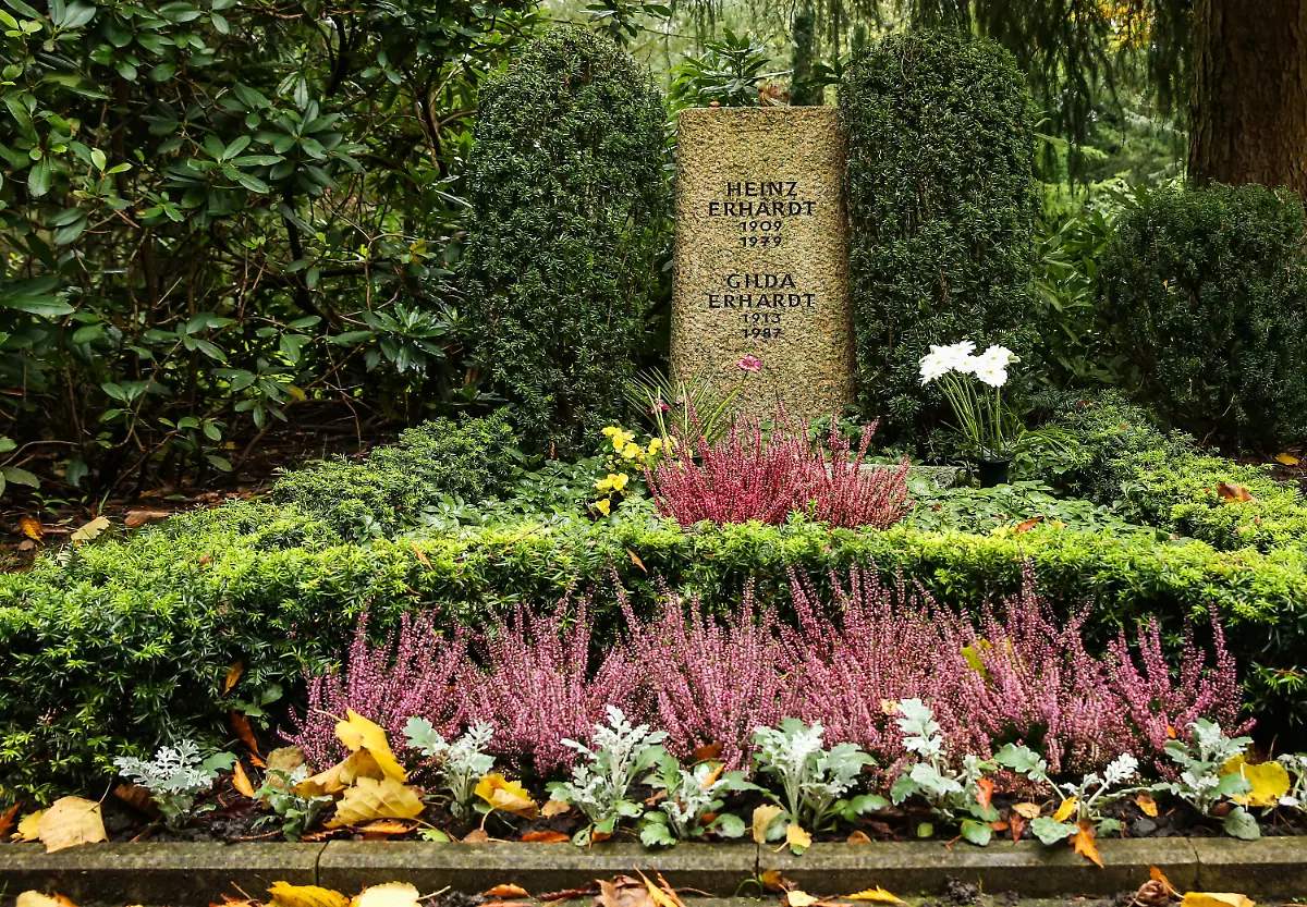 33600ab341c1af760c5cc6c365cf7774