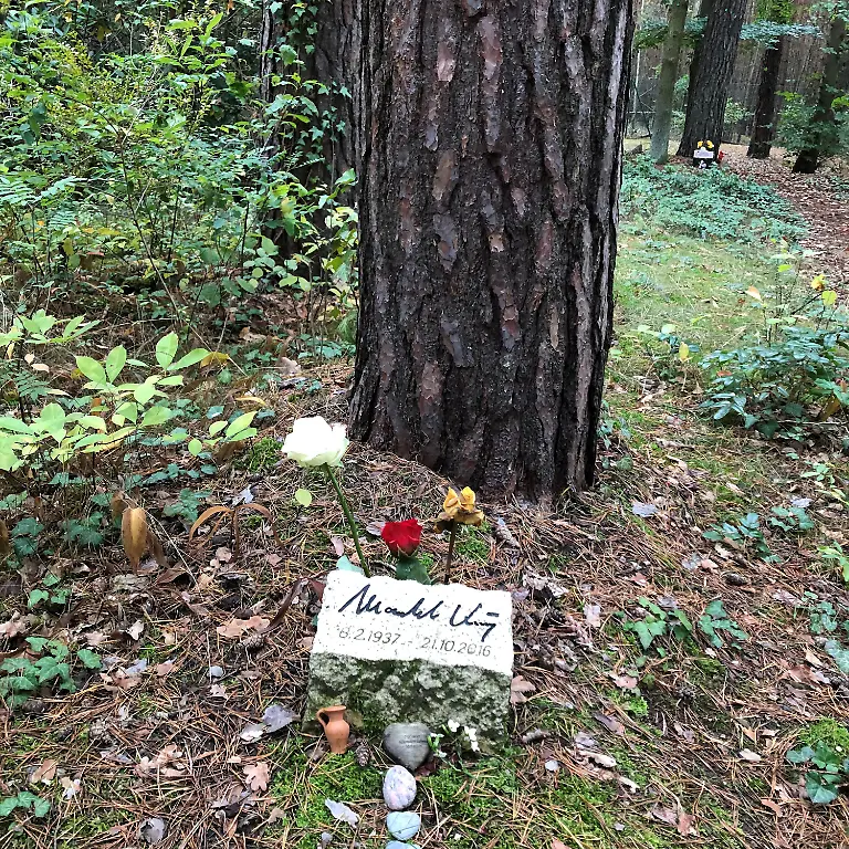 791cc4aca58e91c463fd4df74ff53f8b