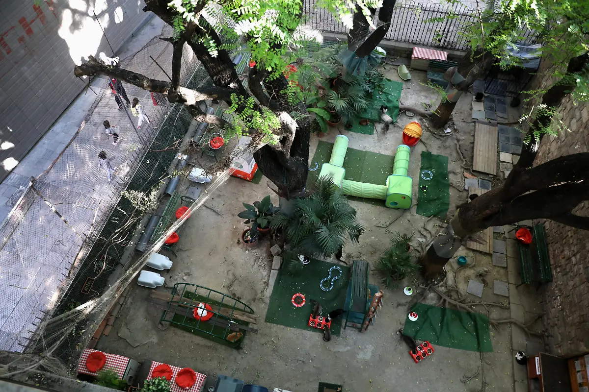 2020-10-27T130217Z-2095952388-RC21RJ9V2OEO-RTRMADP-3-HEALTH-CORONAVIRUS-SPAIN-CATS