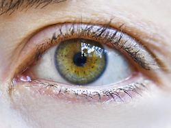 Analyse von Nebenwirkungen: Studie sieht höheres Risiko für Augenschäden bei Wegovy als bei Ozempic