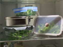 Glas, Edelstahl, Silikon : Nur eine Vorratsdose verfärbt nicht im Test