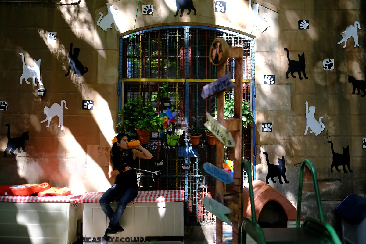2020-10-27T133542Z-1565915385-RC21RJ988T4U-RTRMADP-3-HEALTH-CORONAVIRUS-SPAIN-CATS