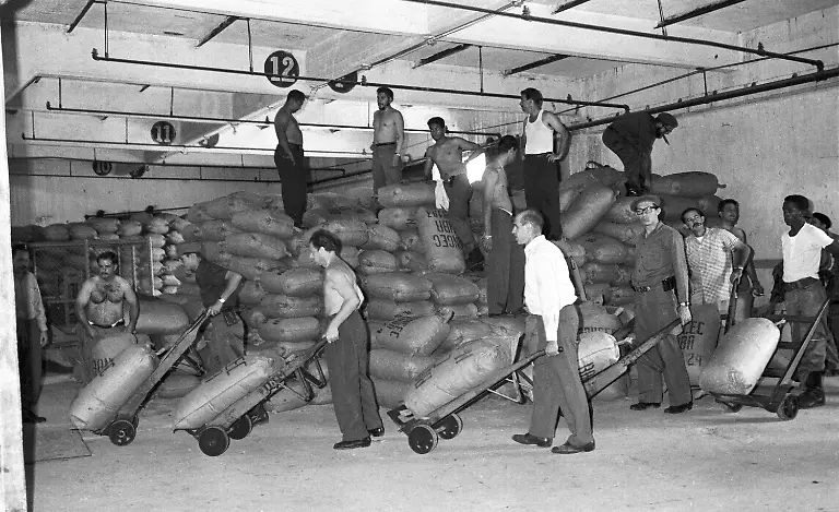 Cuban-revolutionary-hero-Ernesto-Che-Guevara-top-second-from-left-works-during-a-voluntary-workday-at-the-port-docks-in-Havana-Cuba-May-1961