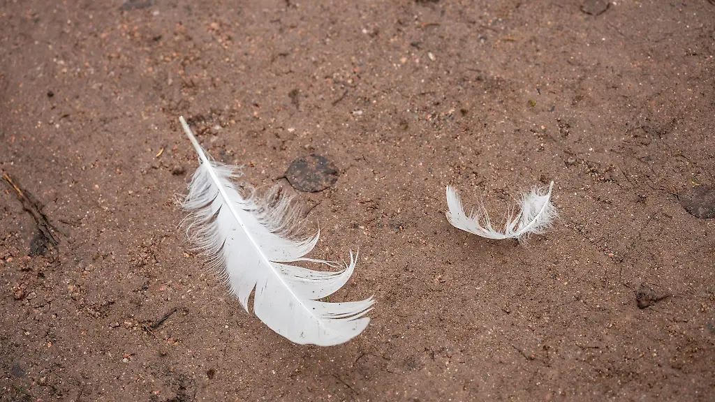 Die-Schutzmassnahmen-koennen-aufgehoben-werden