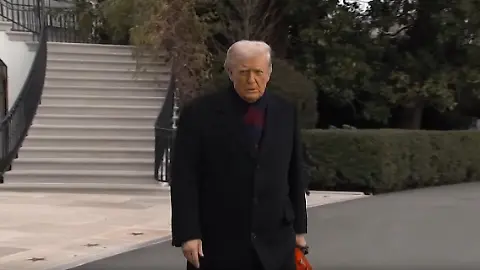 DemokratieUSA
