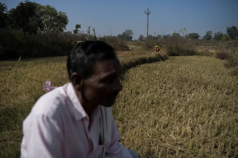 Pannelal-Rajak-78-who-is-a-security-guard-at-Kenapara-Eco-Park-oversees-workers-harvesting-paddy-on-his-farmland-in-Surajpur-India-November-16-2025-Decades-ago-Rajak-gave-up-his-land-for-the-Bishrampur-open-cast-coal-mine-in-exchange-for-money-and-a-job-in-the-mine-he-believed-would-follow-but-he-never-got-the-job-Today-he-guards-the-same-mine-At-least-I-am-earning-something-here-now-he-says-REUTERS-Avijit-Ghosh-SEARCH-INDIA-GHOSH-COAL-FOR-THIS-STORY-SEARCH-WIDER-IMAGE-FOR-ALL-STORIES