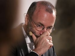 Wie glaubwürdig ist das?: EU-Konservative kooperieren mit Rechten - ihr Chef nennt AfD "toxisch"